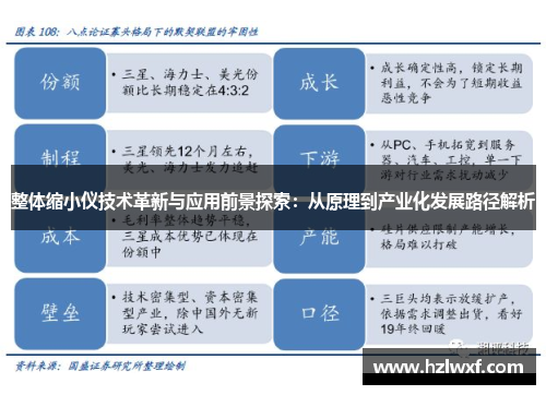 整体缩小仪技术革新与应用前景探索：从原理到产业化发展路径解析